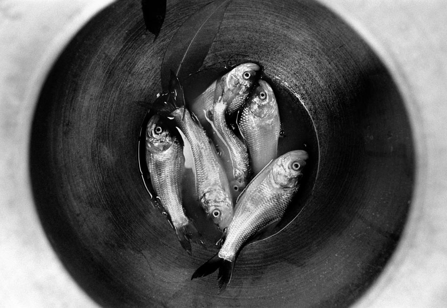 01_fish.pot.bastar.theforgottenframes.india.jpg